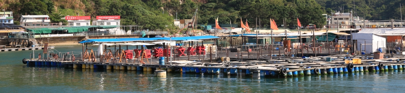 Lamma Fisherfolks Village_3